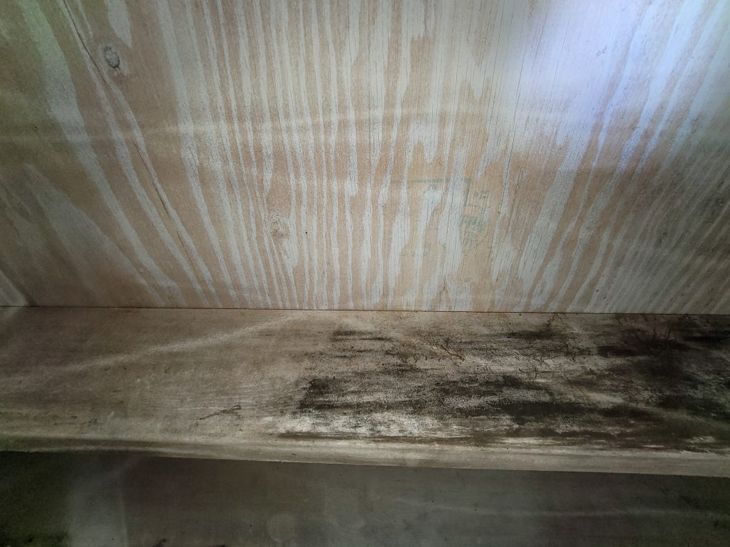 mold in crawlspace pillars. mold remediation. crawlspace repair in Brown County Indiana