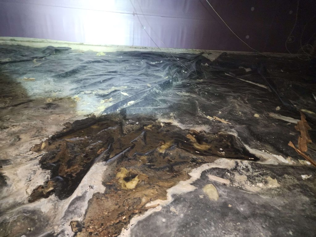 Stranded water in crawlspace. Creating mold on old plastic.