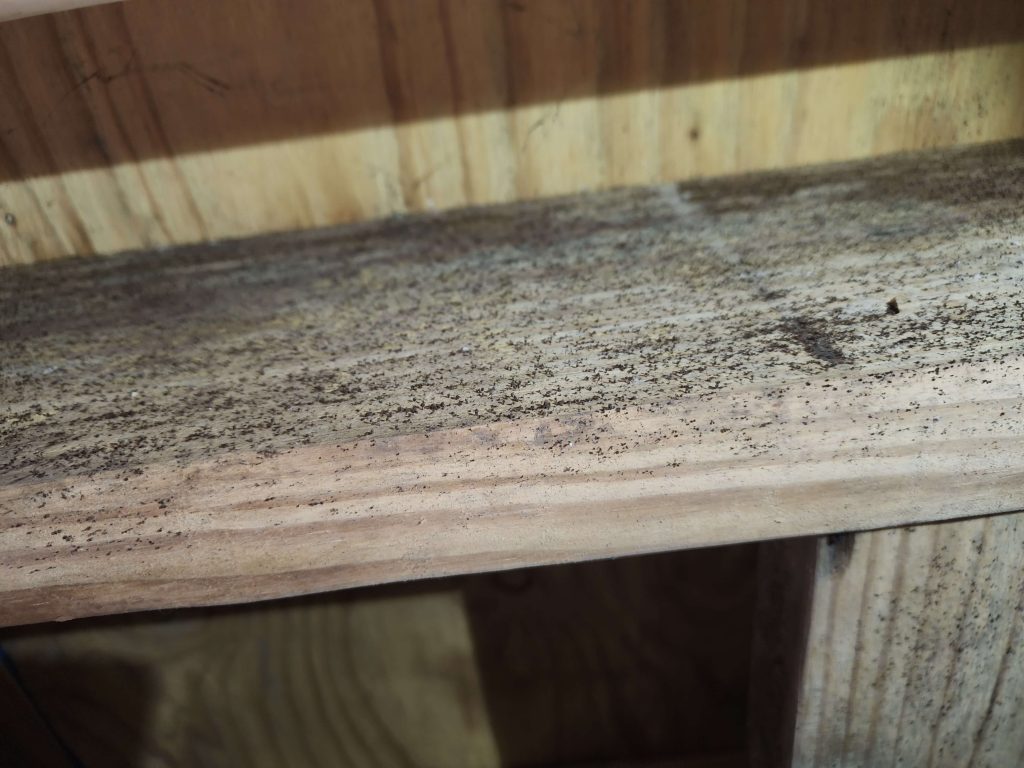 Mold in a crawlspace on Brown County Indiana. Solution is getting Mold Remediation from Hayes Crawlspace & Construction.